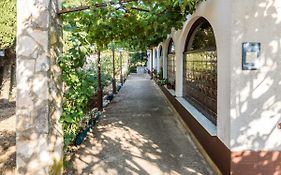 Apartman Jasmina